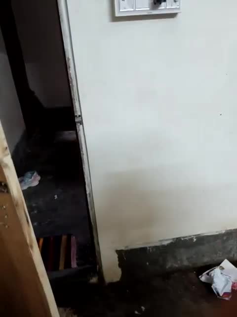 Hotty-Moni cam recording